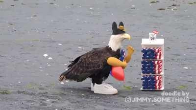 This video is of an eagle walking across the beach. Video editing has been used to basically make it reflect what americans are like. Source link in comments.