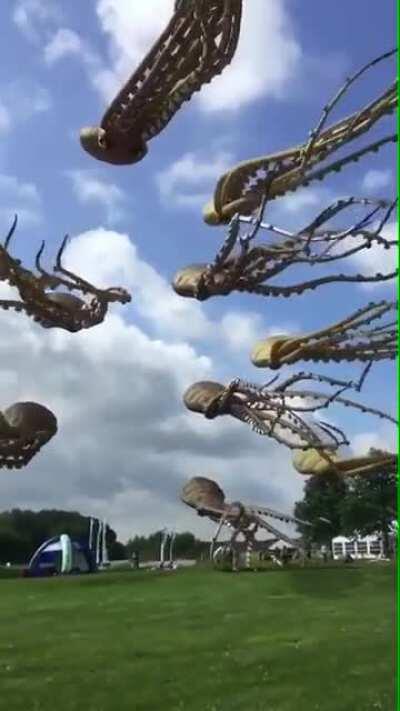 These octopus kites are absolutely incredible