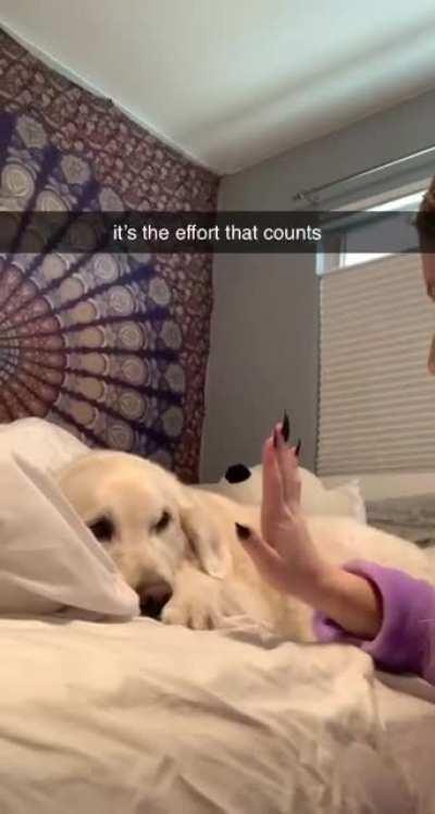 To Master the High Five