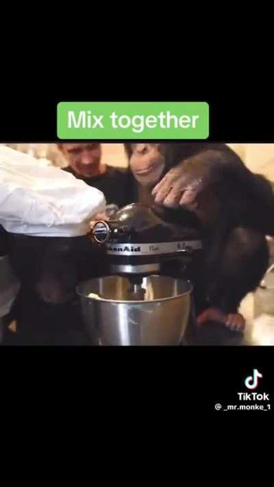 BAKING with monkeys