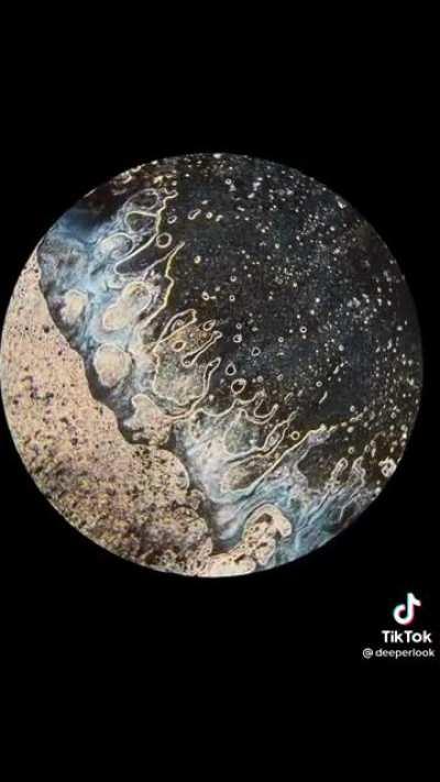 Alcohol sterilizing a microscope slide