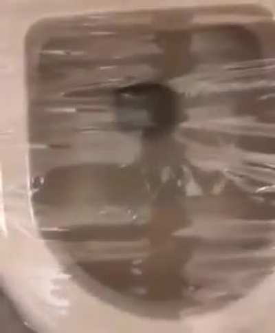 Wcgw if i toss my phone at the toilet