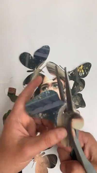 Shane Dawson made of paper butterflies