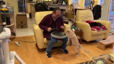 Dad bought himself a “tongue drum” for his birthday. Cat is curious. Moms saying “tap him on the head”