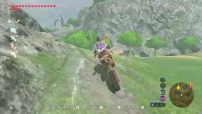 link goes flying