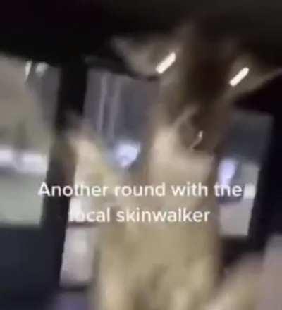 Round with local skinwalker