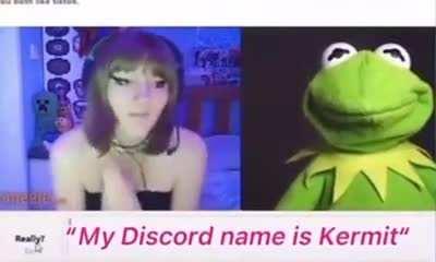 Omegle Kermit