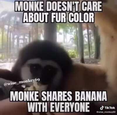 Stupid h*man's will never be like monke