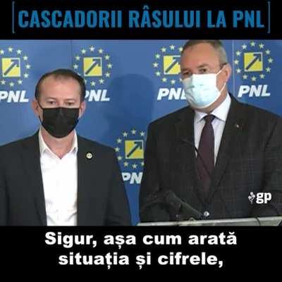 CiucăCîțu vs mass media