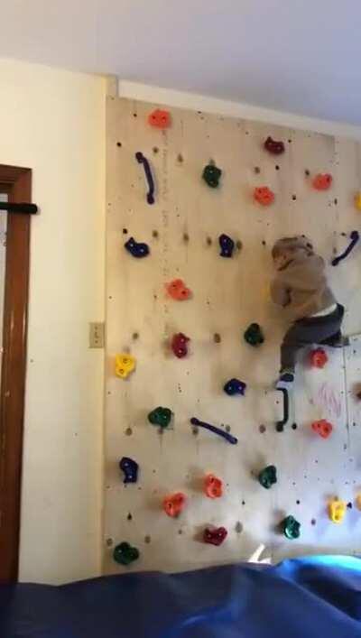 Father built his kid a climbing wall to get him to stop climbing furniture and it only made the tot more powerful