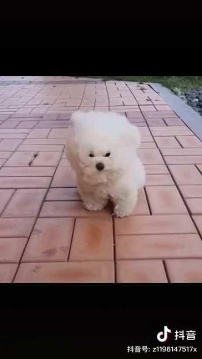 Smol Cloud being moved by the wind