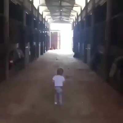 A baby kissing a horse is something I never knew I needed to see until now