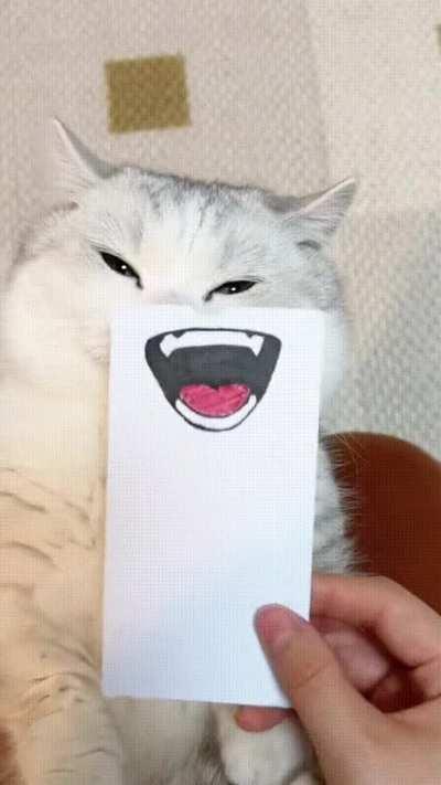 Catmoji