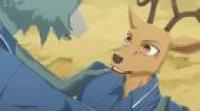 Louis definitely made Legosi Angry