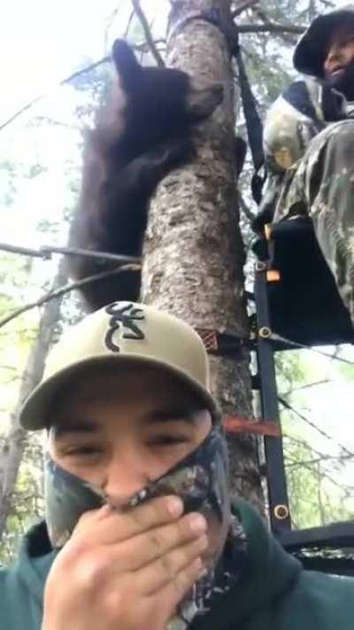 Bear climbs up tree right to the hunters, they remain calm