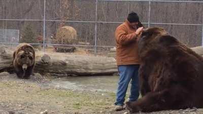 Tiny man gets grab by 1500lb of Kodiak Bear