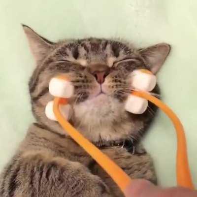 Cat Massager