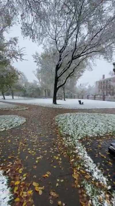 Snowy Walk on Campus this Morning ⛄️