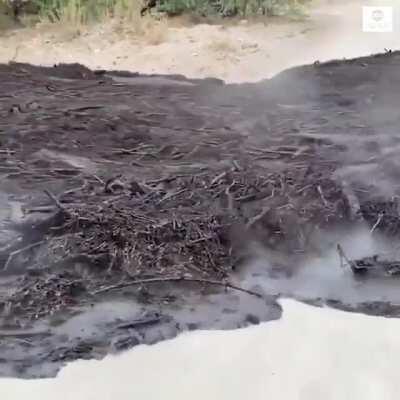 Flood waters carrying the charred remains left by the Bighorn Fire