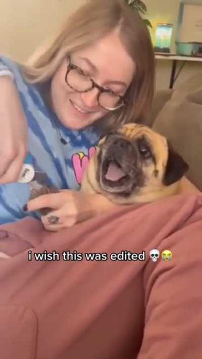 my friend tried trimming her pug's nails