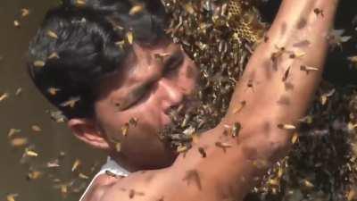 Man stuffs mouth with hundreds of bees