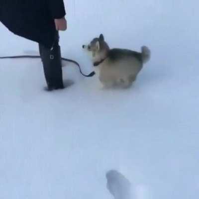 So small, he can’t even make footprints