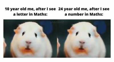 Really, why maths why? You ruined my life. ;-;