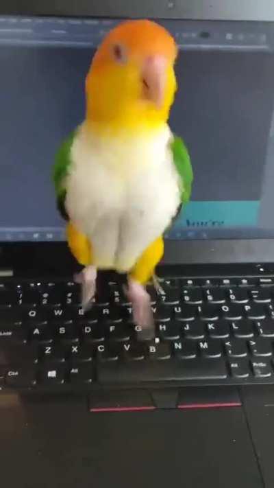 Typing helper