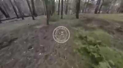 Russian POV of a fighting retreat through the woods near Kremmenaya