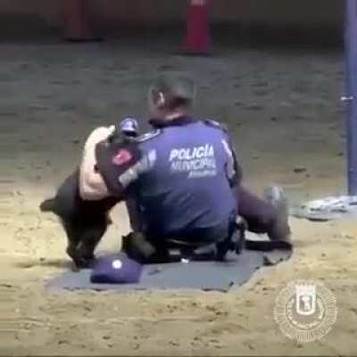 A drill with a dog trained for CPR