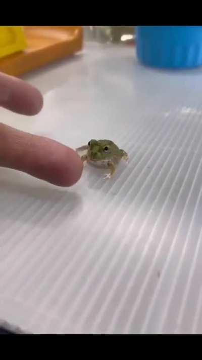 bLoOd tHiRsTy tOaD fUcKiNg eAtS mAn aLiVe