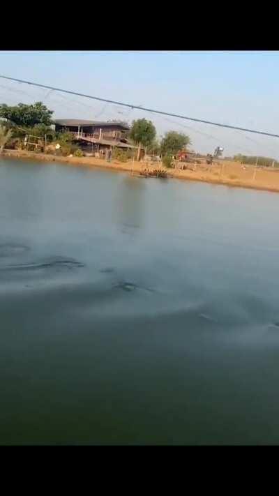 Unbelievable Swim Race - Boy Glides to Victory Like a Hippo!