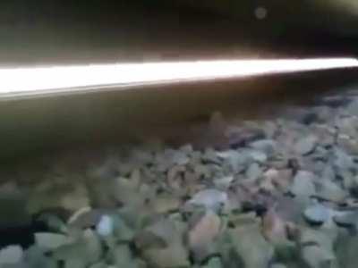 Guy stuck under moving train escapes between its rails