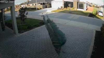 Camera alerted me to an intruder hanging around my garage.