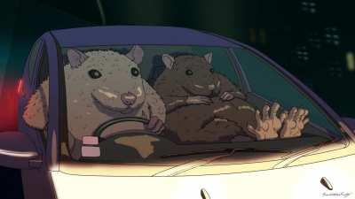 RatDriving