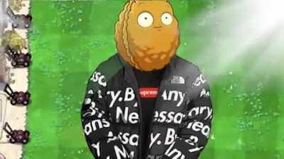 walnut from pvz rlly do got that drip doe 😳😳😳