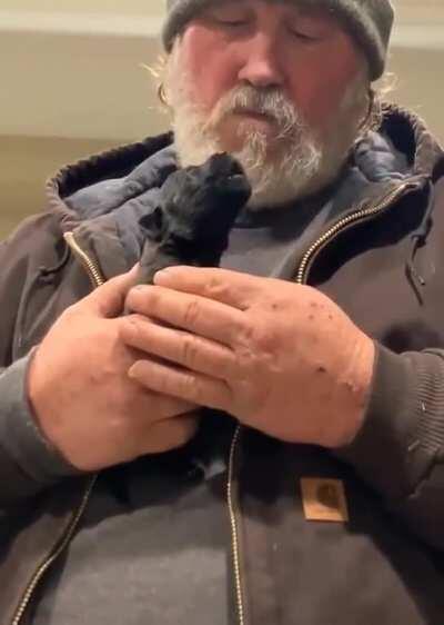 A very proud papa listening to his pup's awooo!