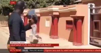 Man Jumps over fence in front of live news coverage.