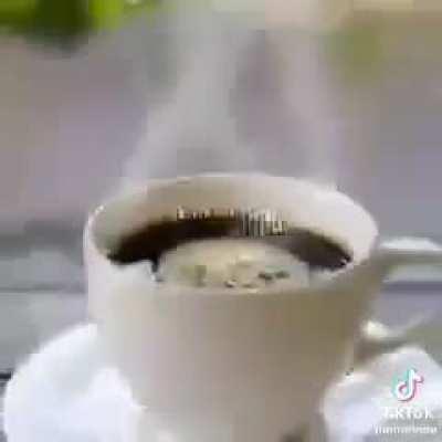 Olha a hora do café 