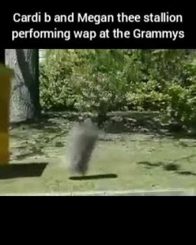 The grammys are a joke