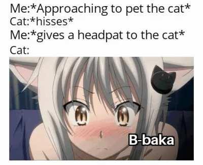 Cats Really are Tsunderes