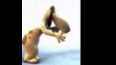 epic dancing dog