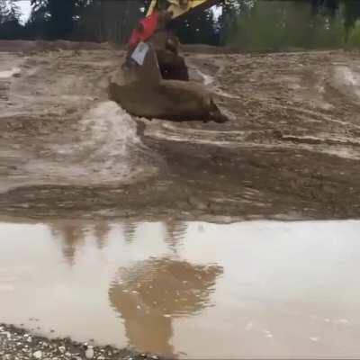 Excavator Operator saves Deer stuck in mud hole