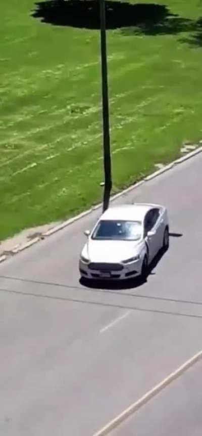 Guy throws a rock at a car then ragdolls and walks it of