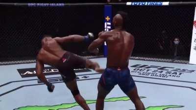 UFC fighter shocks the world with a spinning back kick knockout