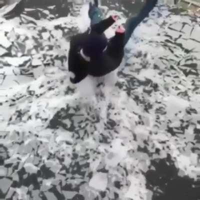 Jumping on frozen trampoline ❄️