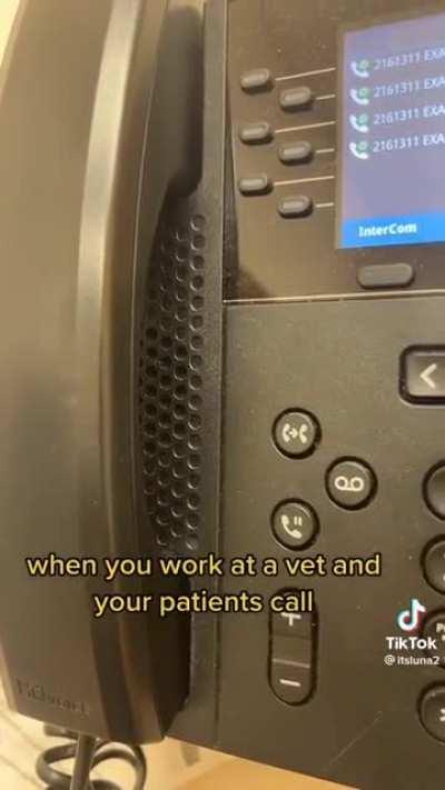 When you work at a vet and a patient calls