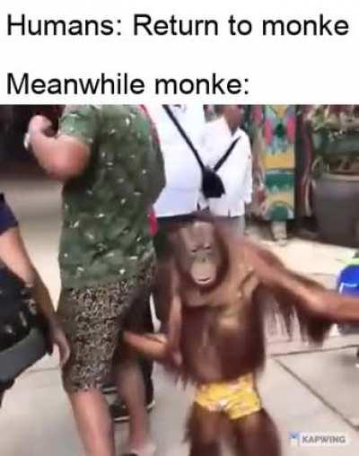 Monke are a curious species