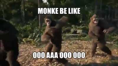 Oooo Aaa Monke Life