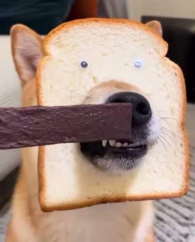 Rare Bread Boy Breed